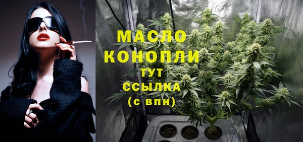 ГАЛЛЮЦИНОГЕННЫЕ ГРИБЫ Суоярви