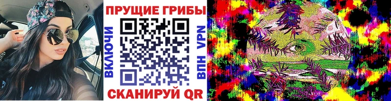 Галлюциногенные грибы Psilocybine cubensis  мега как войти  Тарко-Сале 