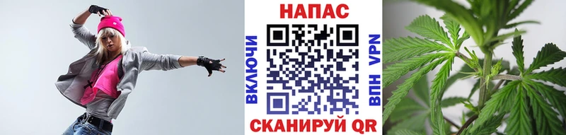 купить наркотики цена  Тарко-Сале  Каннабис индика 